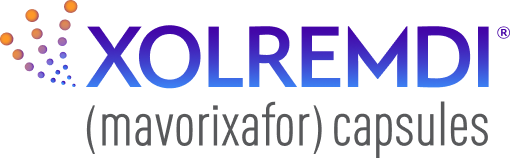 X4 logo mark